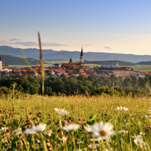 Levoča, autor Rastislav Sanitrik