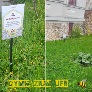 gymnazium jfr