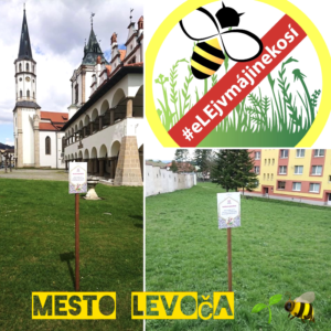 mesto levoca