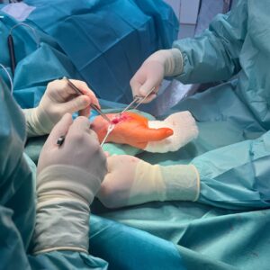 4. operačka chirurgia