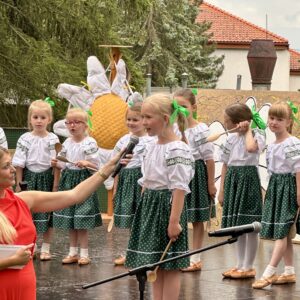 IMG_3795
