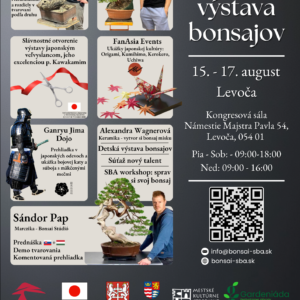 Program_pic_Levoca NV 2025