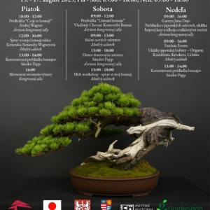 Program_text_Levoca NV 2025_A4
