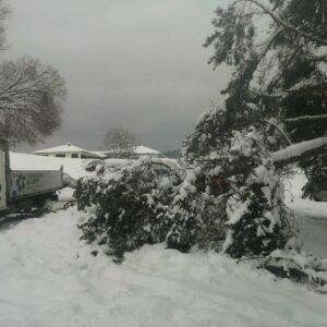 att.1in7n-Wgz9LpFcSixkCOrLOX13hy48r0PmgKf3iS4Mo