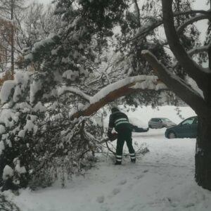 att.7Ox9qS9vJk-9eiN_tqwMsQkWht2P57ogvUQ_MheKsy0