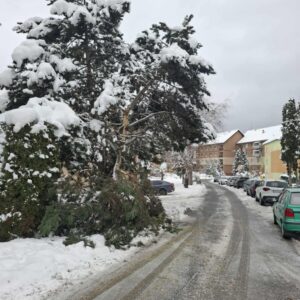 att.CMy-Ufn7YdDO_IwDiBhwh2ikZlKVtXy9O-WSEftcFRI