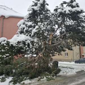 att.LiwA0Xy7tBuy3poW_fNxkuPYXaf-6Rky2q2kJrU3UP0