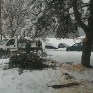 att.W9NKn8XbSZQWP3j_9lEwP715WgSijUymNoBnQHE3lsY