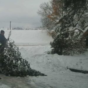 att.nnxrpBV2di5E6qf5RG4Yq2d5AM0-S08O75c-na4ztxM