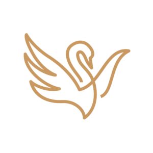 spisske divadlo logo