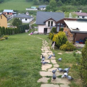 IMG_20220523_184510714